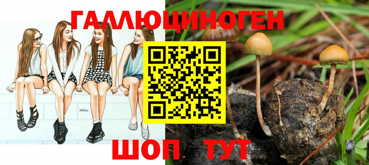 Галлюциногенные грибы ЛСД  Вход с VPN  Мирный 