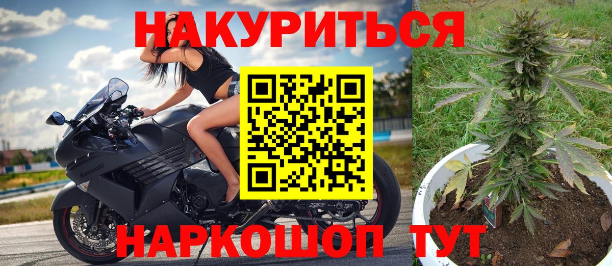 Конопля AK-47  Вход с VPN  Мирный  Канабис индика 